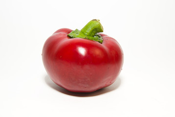One ripe red peppers on over white