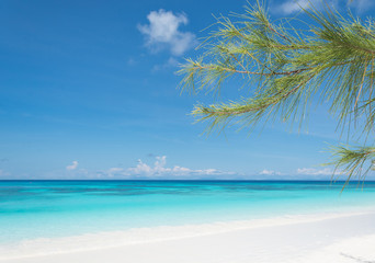 Obraz na płótnie Canvas blue sky with beach sea and leaf