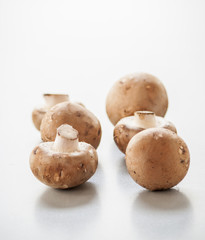 Fresh brown mushrooms close up