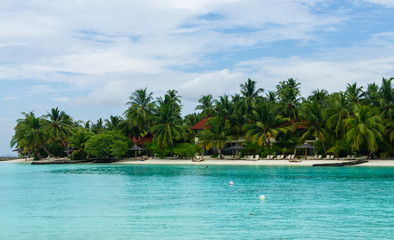 Palmen und Traumstrand in Malediven