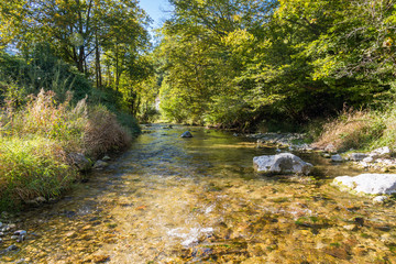 The Gaflenz mountain stream in the Hintergebirge or the Limestone Alps near the small town Weyer in Upper Austria