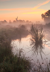 Tranquil, autumn sunrise in the Dutch countryside near a windmill. Groningen, Netherlands