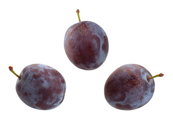Plum fruit on white