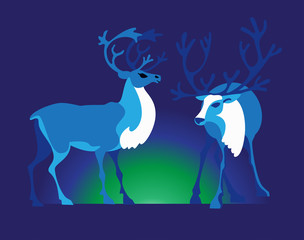 Two reindeers