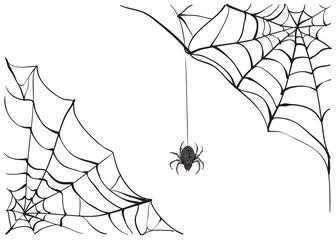 Fototapeten Spiderweb. Big black spider web. Black scary spider of web. Poison spider © orensila