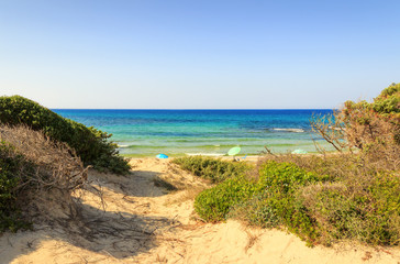 Summer landscape: a nature reserve of Torre Guaceto.BRINDISI (Apulia)-ITALY-Mediterranean maquis: a nature sanctuary between the land and the sea.