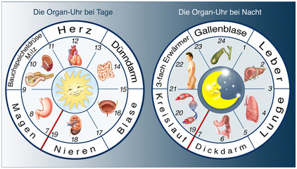 Naklejka premium Chinesische Organ-Uhr bei Tag und bei Nacht