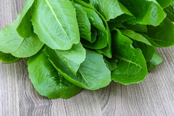 Romano salad leaves