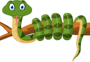 Obraz premium Green snake cartoon on branch 