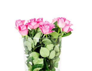 pink roses in vase isolated on white background