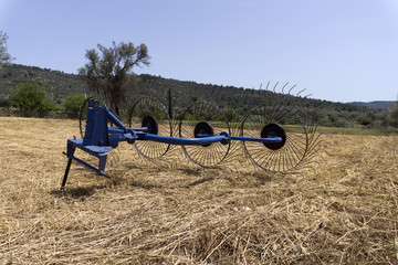 Glean field in agricultural area at mediterranean country © COSPV