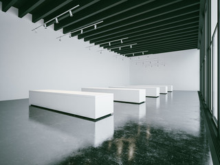 Empty white gallery interior with black ceiling. 3d render