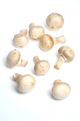 mushrooms
