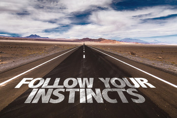 Follow Your Instincts written on desert road