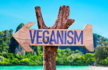 Veganism arrow with beach background