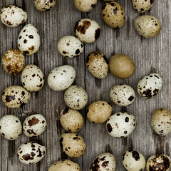 quail eggs