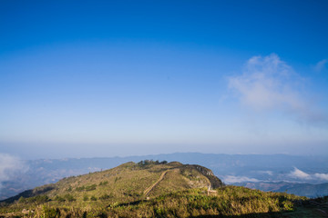 Amazing morning mist in the forest