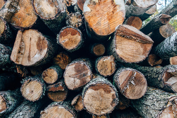 piece of wood logs used for design decorated interior, wood texture background