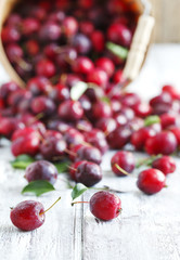 Crab apple in basket