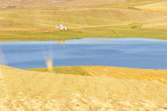 RURAL LANDSCAPE SUMMER.Between Puglia and Basilicata: Lake Basentello.Poggiorsini (ITALY)