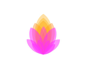 Lotus Creative Beautiful