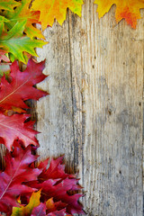 Naklejka na ściany i meble Autumn leaves on wooden table.