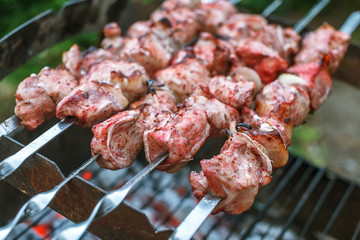 Barbecue roasted meat kebab hot grill, good snack outdoor picnic