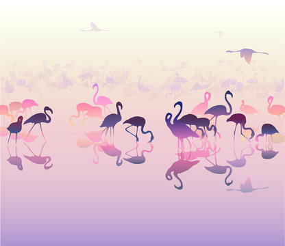 landscape with silhouettes of flamingo