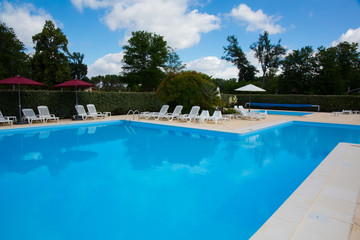 Swimming pool and lush vegetation