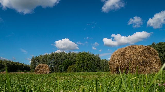Hay bale farm / Hay bale on the field after harvest
