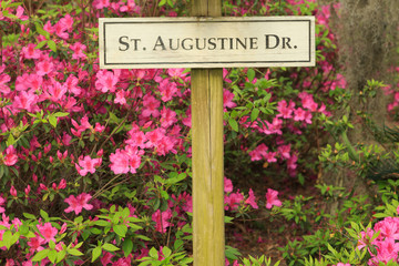 St Augustine Drive