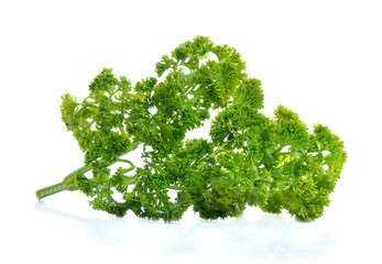 Fototapeta premium Parsley isolated on white background