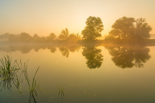 Pulverweiden Images Browse 46 Stock Photos, Vectors, and Video