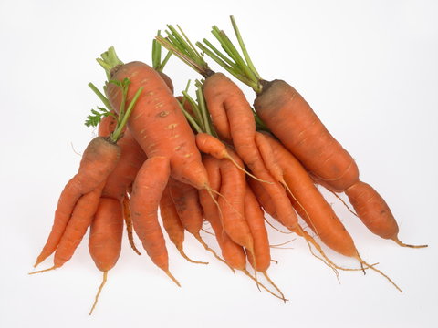 l&eacute;gumes difformes