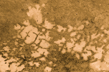 Wall Texture Backgrounds & Textures