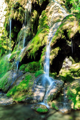 Cascada La Vaioaga in Cheile Nerei national park