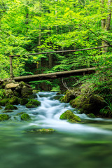 River deep in mountain forest