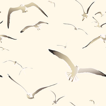 flying seagulls seamless texture