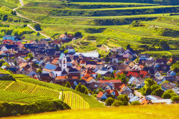 Picturesque summer vineyard landscape with with a historic town in Germany, Black Forest,...