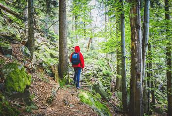 Traveler wearing red raincoat and a rucksack climbing up a mountain in mountain forest in summer. Vintage effect, toned.