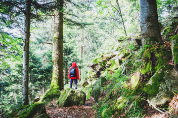 Obraz premium Hiker wearing red raincoat and a rucksack standing in mountain forest in summer. Vintage effect, toned.