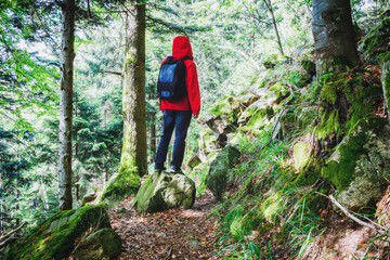 Fototapeta premium Man wearing red raincoat and a rucksack hiking in mountain forest in summer. Vintage effect, toned.