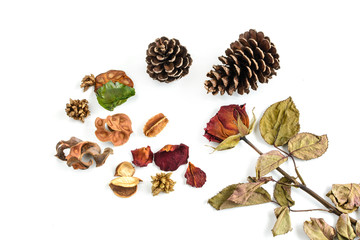 Single dried rose, flower and pine cone isolated on white