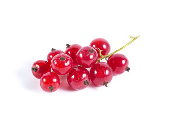 Red currant close up isolated on white