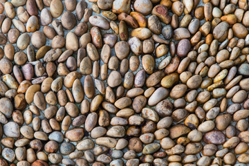 Beach pebble background