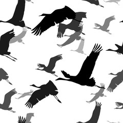 seamless texture with silhouettes of flying cranes. black-white