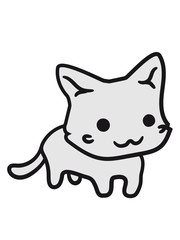 kitten cute cute little baby