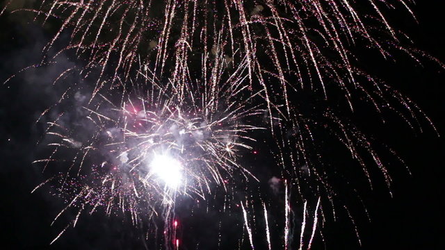 Fireworks in the night sky