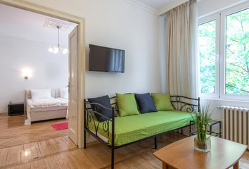Green sofa in modern apartment