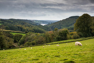 Fototapeta na wymiar Rural countryside landscape at fall